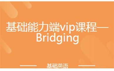 基础能力端vip课程—Bridging