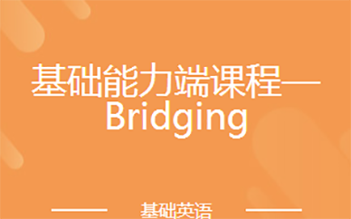 基础能力端课程—Bridging