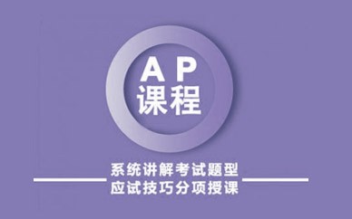 深圳新通教育AP培训课程（考试培训班）