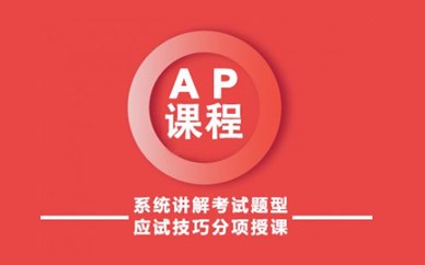 广州新通教育AP培训课程