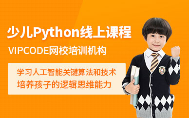 北京vipcode少儿Python线上课程培训