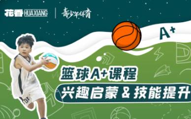 南京花香盛世青少年篮球培训课程