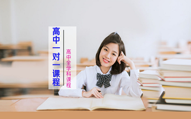 北京博众未来高中一对一辅导课程