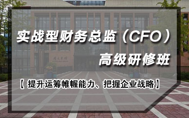 北京新浦蘭德實戰型財務總監(CFO)研修班課程