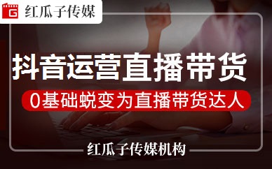 深圳红瓜子抖音短视频直播带货培训班