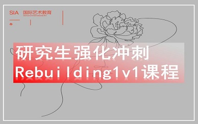 南京SIA艺术研究生强化冲刺Rebuilding1v1课程