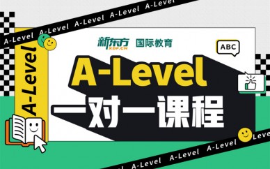 天津新東方A-Level一對一課程