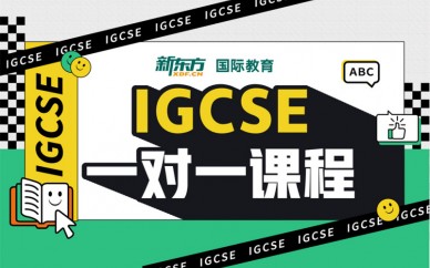 天津新东方IGCSE一对一课程