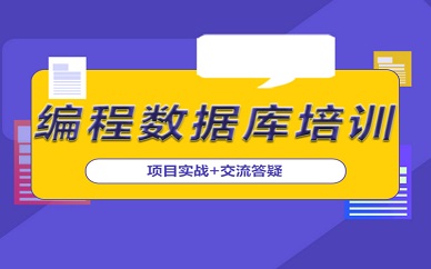 郑州北游教育数据库培训班
