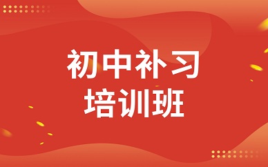 徐州新东方素质教育初中辅导班培训