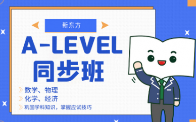 深圳新东方A-Level同步培训班